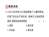 初中生物新北师大版七年级上册活动二 无土栽培一种植物作业课件2024秋