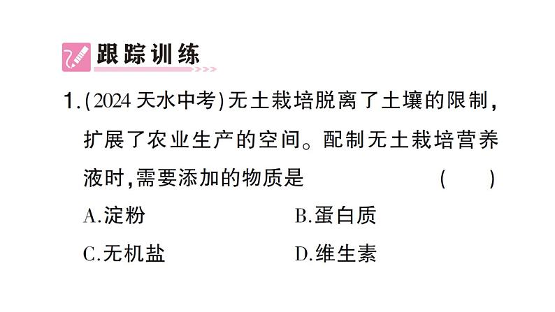 初中生物新北师大版七年级上册活动二 无土栽培一种植物作业课件2024秋第4页