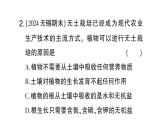 初中生物新北师大版七年级上册活动二 无土栽培一种植物作业课件2024秋
