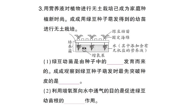 初中生物新北师大版七年级上册活动二 无土栽培一种植物作业课件2024秋第6页