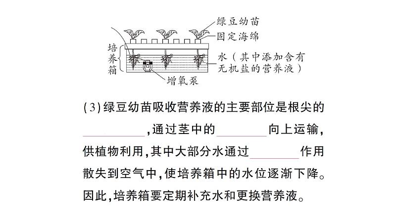 初中生物新北师大版七年级上册活动二 无土栽培一种植物作业课件2024秋第7页
