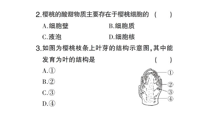 初中生物新北师大版七年级上册期末主题情境题作业课件2024秋第3页