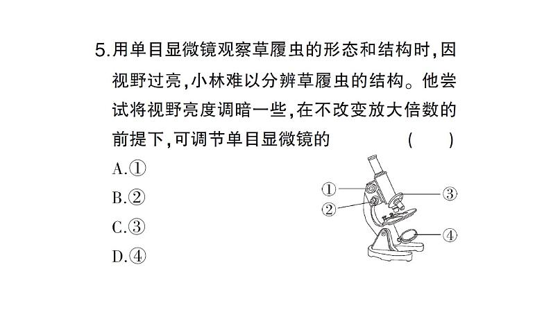 初中生物新北师大版七年级上册期末主题情境题作业课件2024秋第6页