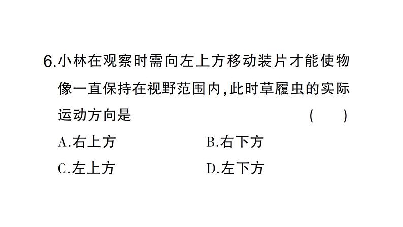 初中生物新北师大版七年级上册期末主题情境题作业课件2024秋第7页