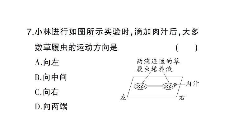 初中生物新北师大版七年级上册期末主题情境题作业课件2024秋第8页