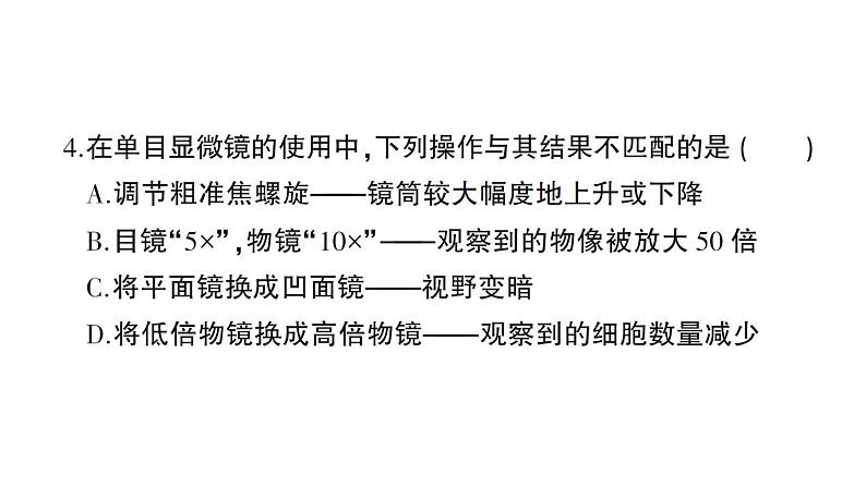 初中生物新北师大版七年级上册期末综合检测作业课件（2024秋）第5页