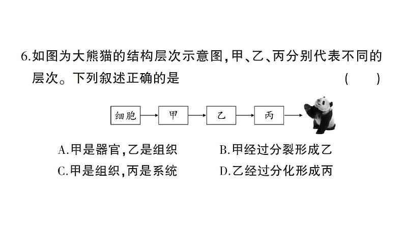 初中生物新北师大版七年级上册期末综合检测作业课件（2024秋）第7页