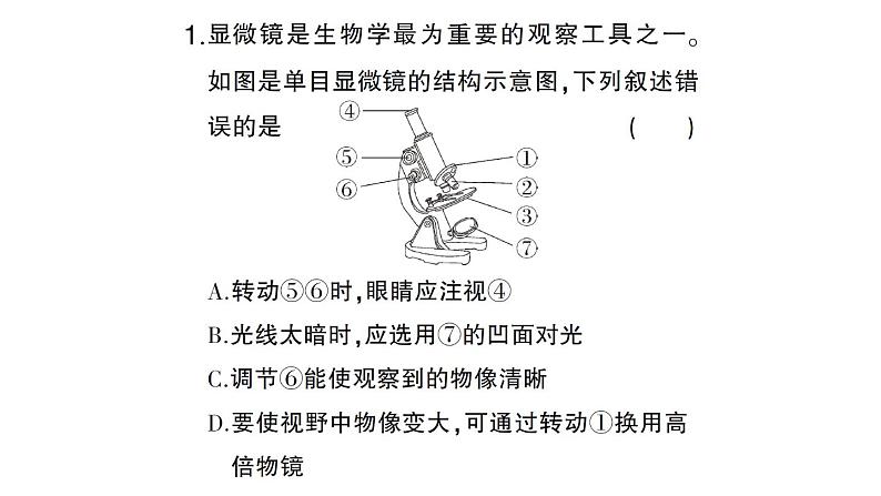 初中生物新北师大版七年级上册期末识图理解题作业课件2024秋第2页