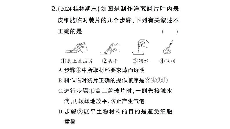 初中生物新北师大版七年级上册期末识图理解题作业课件2024秋第3页