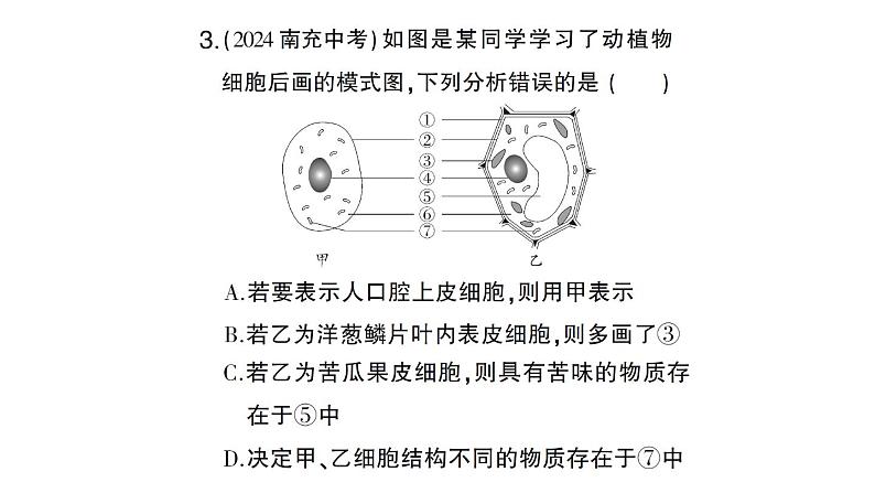 初中生物新北师大版七年级上册期末识图理解题作业课件2024秋第4页