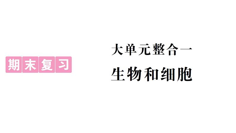 初中生物新人教版七年级上册期末大单元整合一 生物和细胞作业课件2024秋第1页