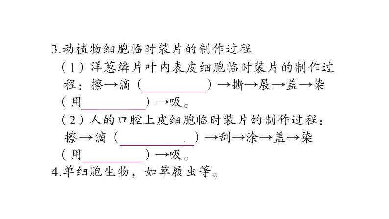 初中生物新人教版七年级上册期末大单元整合一 生物和细胞作业课件2024秋第3页