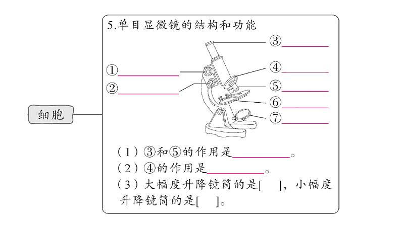 初中生物新人教版七年级上册期末大单元整合一 生物和细胞作业课件2024秋第4页