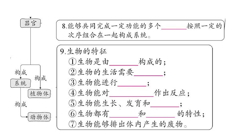 初中生物新人教版七年级上册期末大单元整合一 生物和细胞作业课件2024秋第7页