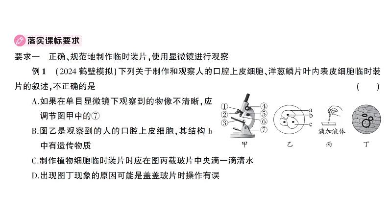 初中生物新人教版七年级上册期末大单元整合一 生物和细胞作业课件2024秋第8页