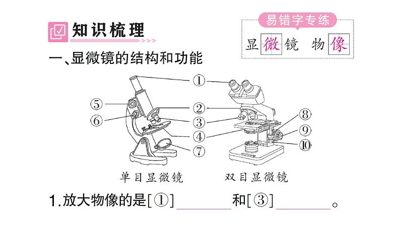 初中生物新人教版七年级上册第一单元第二章第一节 学习使用显微镜作业课件2024秋第2页