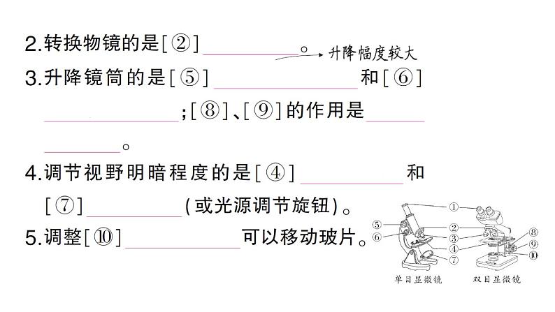 初中生物新人教版七年级上册第一单元第二章第一节 学习使用显微镜作业课件2024秋第3页