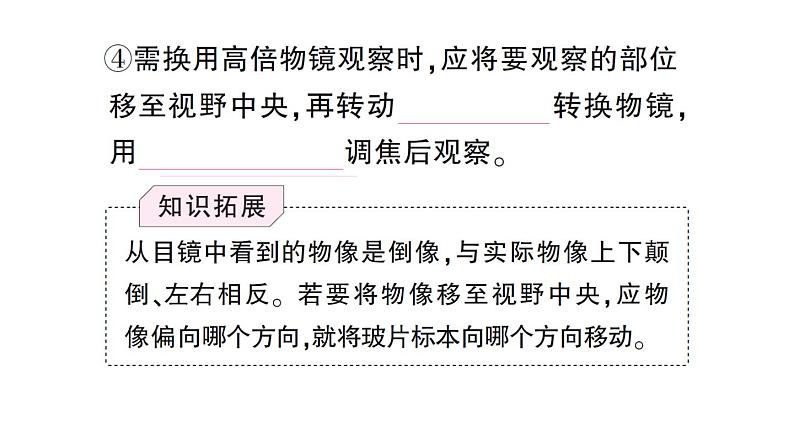 初中生物新人教版七年级上册第一单元第二章第一节 学习使用显微镜作业课件2024秋第6页