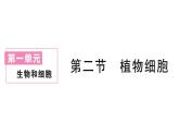 初中生物新人教版七年级上册第一单元第二章第二节 植物细胞作业课件2024秋