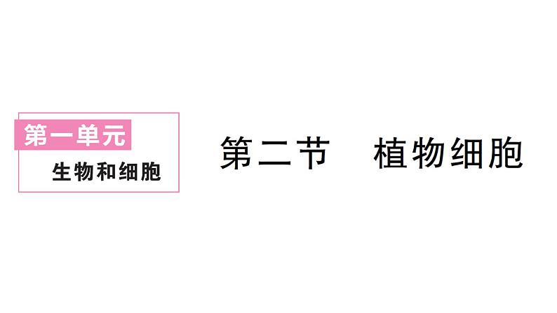 初中生物新人教版七年级上册第一单元第二章第二节 植物细胞作业课件2024秋第1页