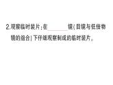 初中生物新人教版七年级上册第一单元第二章第二节 植物细胞作业课件2024秋