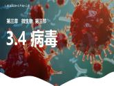 初中  生物  人教版（2024）  七年级上册  第二单元 多种多样的生物  第三章第四节 病毒 课件