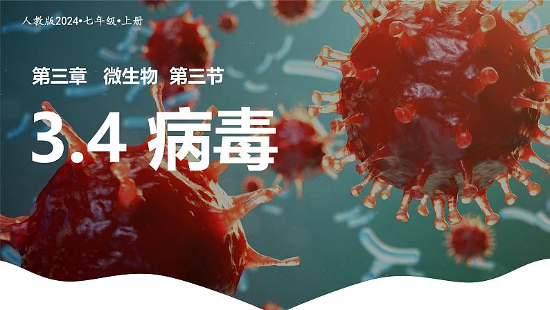 初中  生物  人教版（2024）  七年级上册  第二单元 多种多样的生物  第三章第四节 病毒 课件02