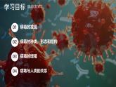 初中  生物  人教版（2024）  七年级上册  第二单元 多种多样的生物  第三章第四节 病毒 课件
