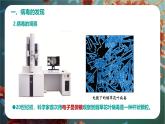 初中  生物  人教版（2024）  七年级上册  第二单元 多种多样的生物  第三章第四节 病毒 课件