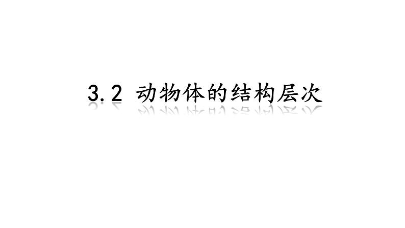 初中  生物  人教版（2024）  七年级上册  第一单元 生物和细胞  第三章 第二节 动物体的结构层次 课件第1页