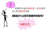 初中  生物  人教版（2024）  七年级上册  第一单元 生物和细胞  第三章 第二节 动物体的结构层次 课件