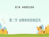 初中  生物  人教版（2024）  七年级上册  第一单元 生物和细胞  第三章第二节 动物体的结构层次 课件