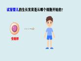 初中  生物  人教版（2024）  七年级上册  第一单元 生物和细胞  第三章第二节 动物体的结构层次 课件