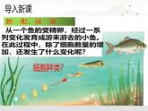 初中  生物  人教版（2024）  七年级上册  第一单元 生物和细胞  第三章第二节 动物体的结构层次 课件