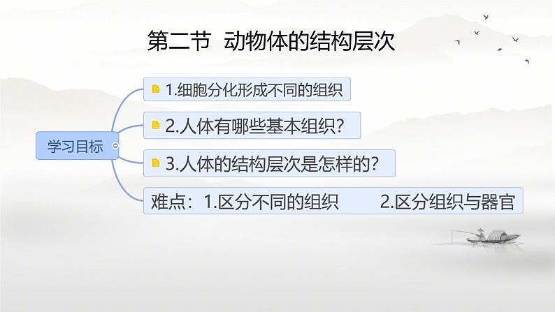 初中  生物  人教版（2024）  七年级上册  第一单元 生物和细胞  第三章第二节 动物体的结构层次 课件第2页