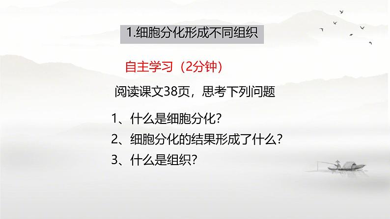 初中  生物  人教版（2024）  七年级上册  第一单元 生物和细胞  第三章第二节 动物体的结构层次 课件第3页