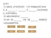 初中  生物  人教版（2024）  七年级上册  第一单元 生物和细胞  第三章第二节 动物体的结构层次 课件