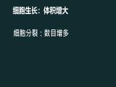 初中  生物  人教版（2024）  七年级上册  第一单元 生物和细胞  第三章第二节 动物体的结构层次 课件