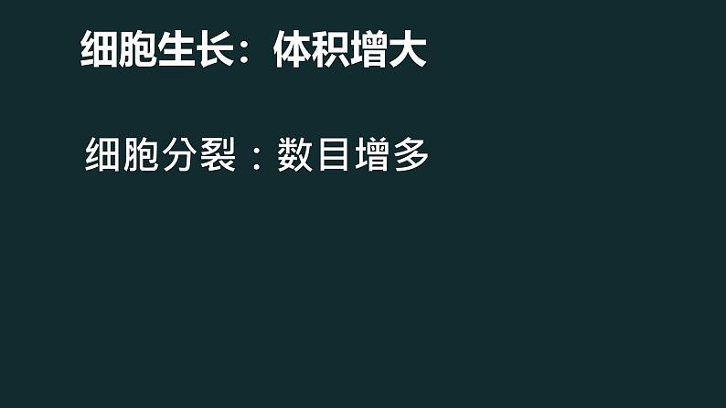 初中  生物  人教版（2024）  七年级上册  第一单元 生物和细胞  第三章第二节 动物体的结构层次 课件第3页