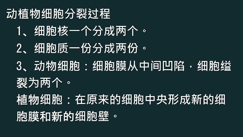 初中  生物  人教版（2024）  七年级上册  第一单元 生物和细胞  第三章第二节 动物体的结构层次 课件第5页