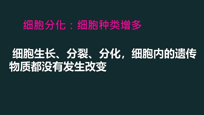 初中  生物  人教版（2024）  七年级上册  第一单元 生物和细胞  第三章第二节 动物体的结构层次 课件第6页