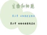 初中  生物  人教版（2024）  七年级上册  第一单元 生物和细胞  第三章第二节 动物体的结构层次 课件