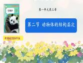 初中  生物  人教版（2024）  七年级上册  第一单元 生物和细胞  第三章第二节 动物体的结构层次 课件