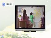 初中  生物  人教版（2024）  七年级上册  第一单元 生物和细胞  第三章第二节 动物体的结构层次 课件