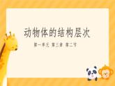 初中  生物  人教版（2024）  七年级上册  第一单元 生物和细胞  第三章第二节 动物体的结构层次 课件