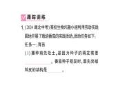 初中生物新北师大版七年级上册活动一 栽培番茄，观察并描绘其一生的变化作业课件2024秋