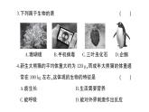 初中生物新人教版七年級上冊第一單元 第一、二章綜合訓練作業(yè)課件2024秋