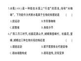 初中生物新人教版七年級上冊第一單元 第一、二章綜合訓練作業(yè)課件2024秋