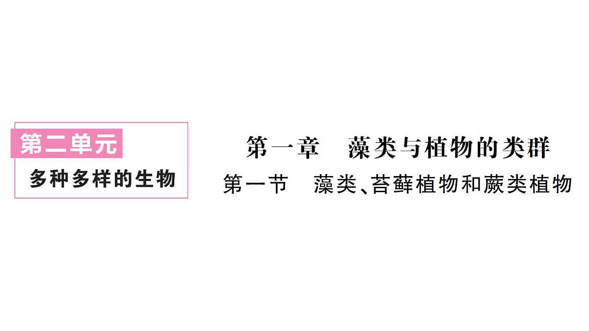 初中生物新人教版七年级上册第二单元第一章第一节 藻类、苔藓植物和蕨类植物作业课件2024秋第1页