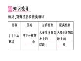初中生物新人教版七年级上册第二单元第一章第一节 藻类、苔藓植物和蕨类植物作业课件2024秋